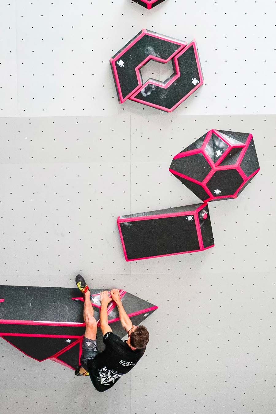 pinkturtle climbing holds
